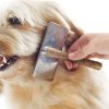5 Conseils pour garder sa maison propre quand on a un chien