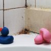Conseils pour prévenir la moisissure dans la salle de bain