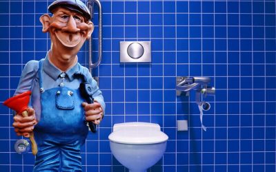 Quand et comment faut-il procéder au remplacement des toilettes ?