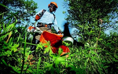 Gros plan sur l’importance de contacter un paysagiste