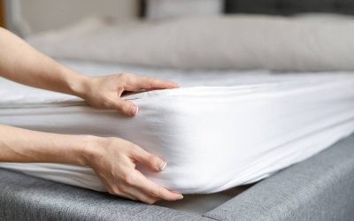 les moyens efficaces pour éliminer les punaises de lit