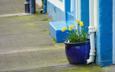 Clés pour choisir le bon expert en traitement de l’humidité