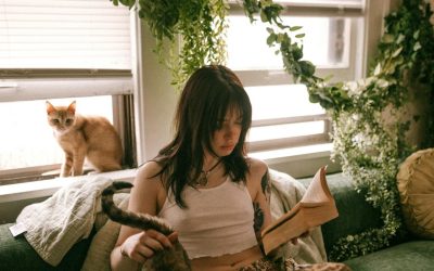 Comment créer un environnement stimulant pour votre chat à la maison : idées et conseils pratiques