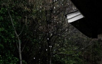 Combien coûte un nettoyage de gouttière au mètre linéaire ?