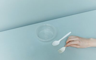 Vaisselle jetable : quand l’éco-conception rencontre la responsabilité