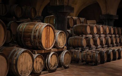 Visite de caves : plongez dans les secrets de l’élaboration du champagne